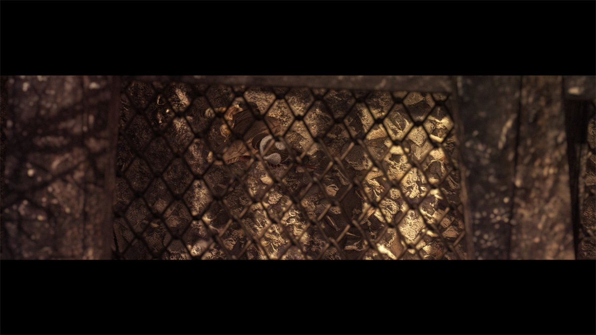 ryluu_'s tweet photo. New edit very soon 👀 https://t.co/IJhezcfx9W