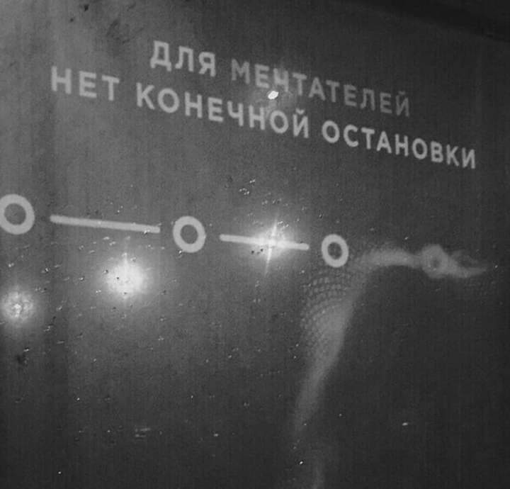 olga_martinenko's tweet photo. Мечтайте и не останавливайтесь!⭐⭐⭐ https://t.co/oS65OoICv8