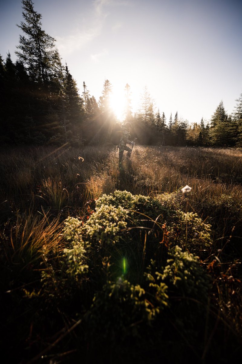 KastineColeman's tweet photo. With the sun setting earlier these days I’m trying my best to take advantage of every golden ray ~ they don’t have much heat anymore so it’s time to break out the layers!
📸 Jacob Dicks
#tightloopstightlines #explorenl #newfoundlandandlabrador #hunting #getoutside https://t.co/f2ic8WYV9h