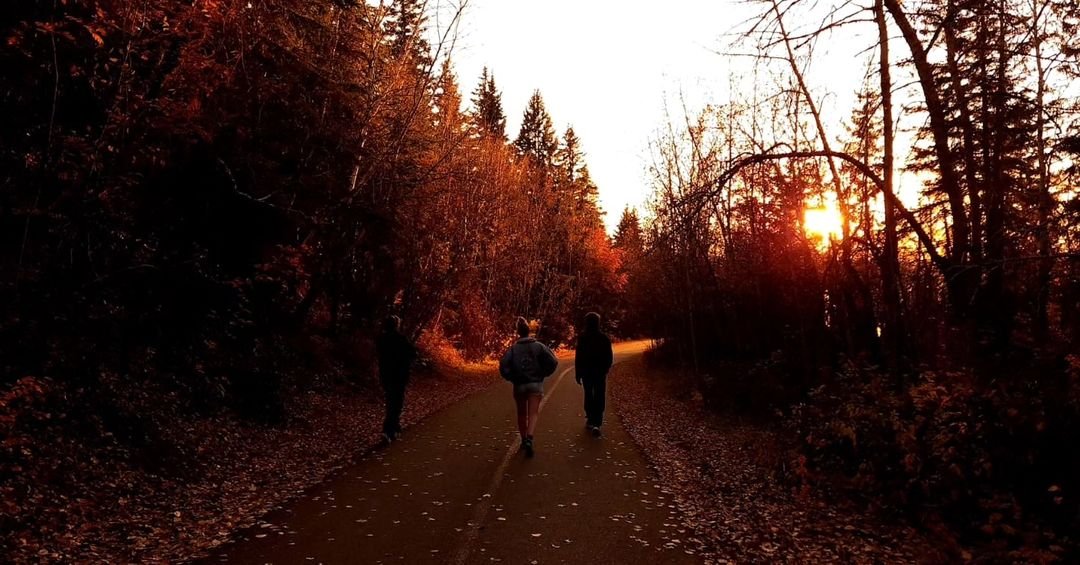 Le magnifique coucher de Soleil d'Edmonton accompagné par l'orange automnal.🧡🍂
Superbe photo prise par les participant·es de l'Expérience nationale.
--
Edmonton's magnificent sunset matching the warm orange of fall.🧡🍂
Gorgeous photo taken by National Experience participants.