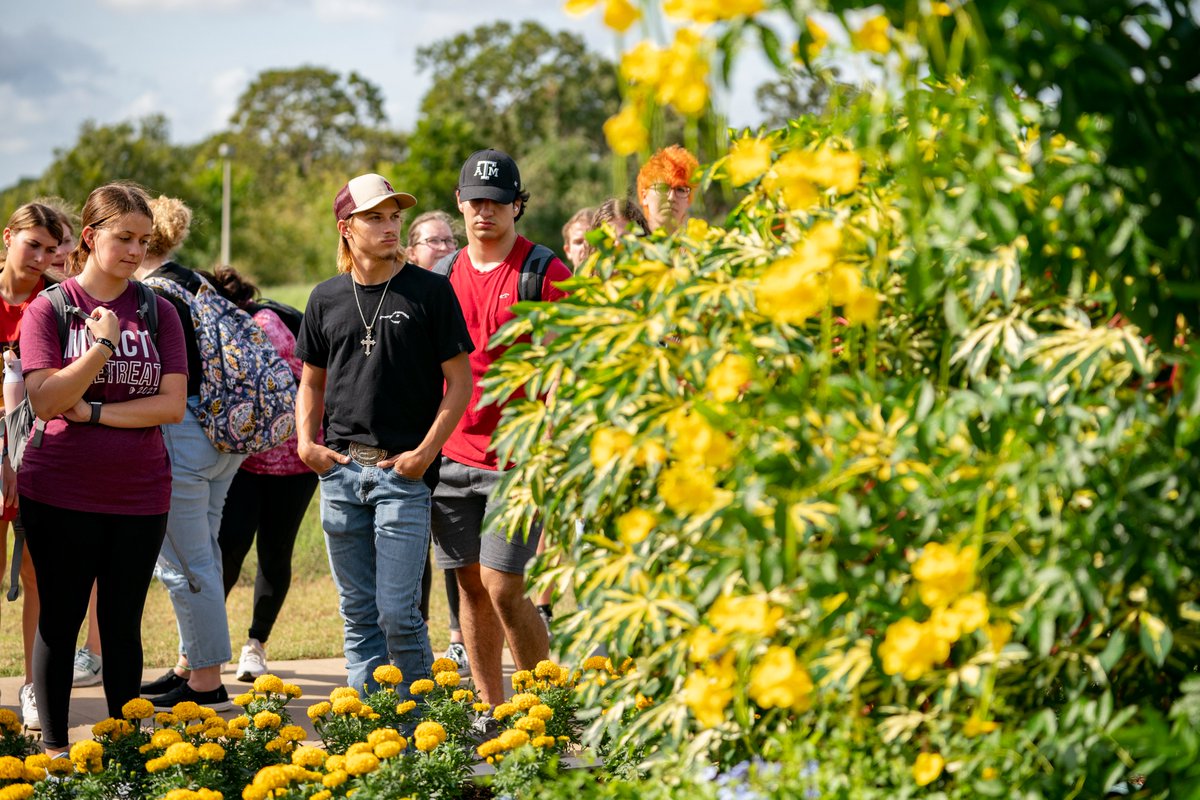 The Department of Entomology at Texas A&amp;M University is pleased to offer travel grants to prospective Ph.D. students, providing a variety of opportunities! 

The application deadline is December 4th, 2023!!

See the details here: tx.ag/ENTOGradRecrui…
#TAMUBugs #TAMUEnto
