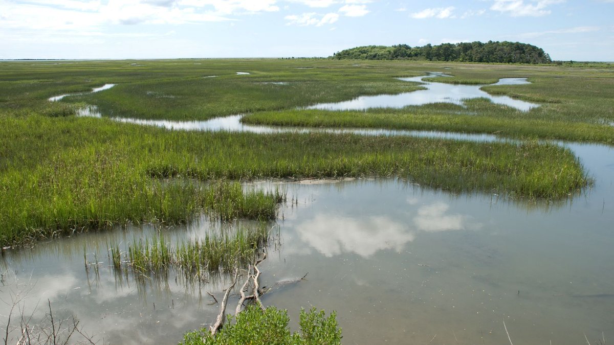 Outforia tweet media