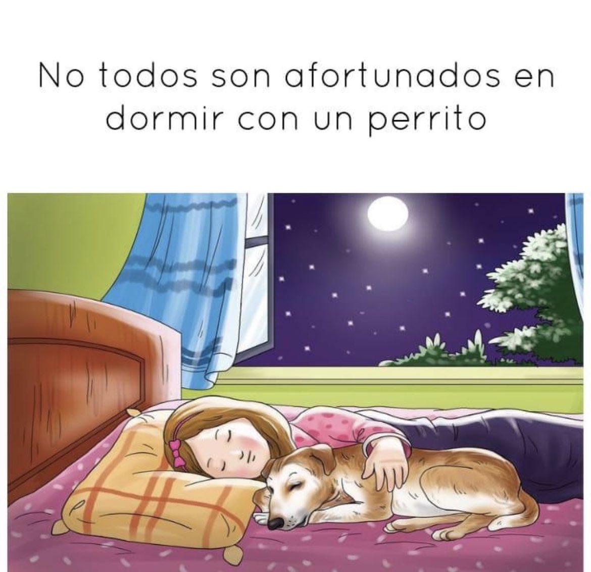 manecita06's tweet photo. Noviembre! Seguimos con nuestra fundación luchando por nuestros perritos 🐶 sobre todo por los perritos 🐶 de las calles! Tratando de enseñarle a todos sobre tenencia responsable!🙂🙂🙂RT no más maltrato ni abandonos de perritos 🐶 https://t.co/Yhul5Nf7Kj
