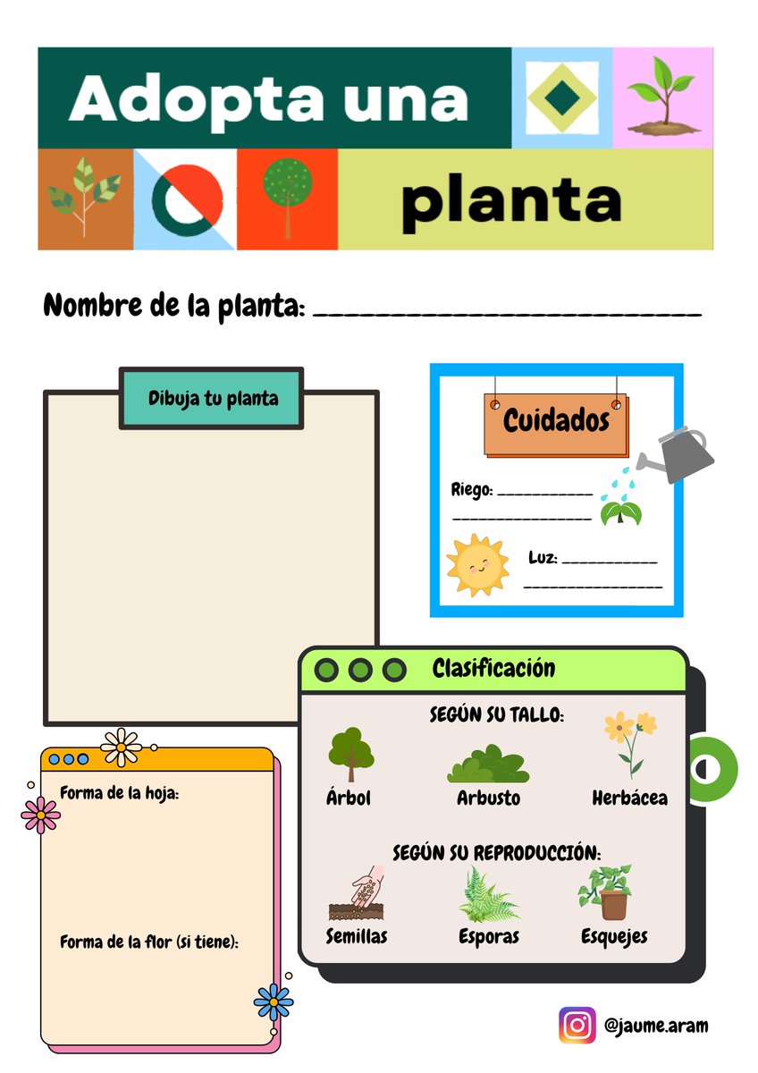 ElAulaAbierta's tweet photo. Hoy os comparto una ficha para trabajar las plantas🌱 de una manera muy práctica.
El alumnado buscará información 🌐sobre una planta. 
Después, deberán completar la ficha y encargarse del cuidado de la planta que han elegido. https://t.co/XzVJHnfj9c
