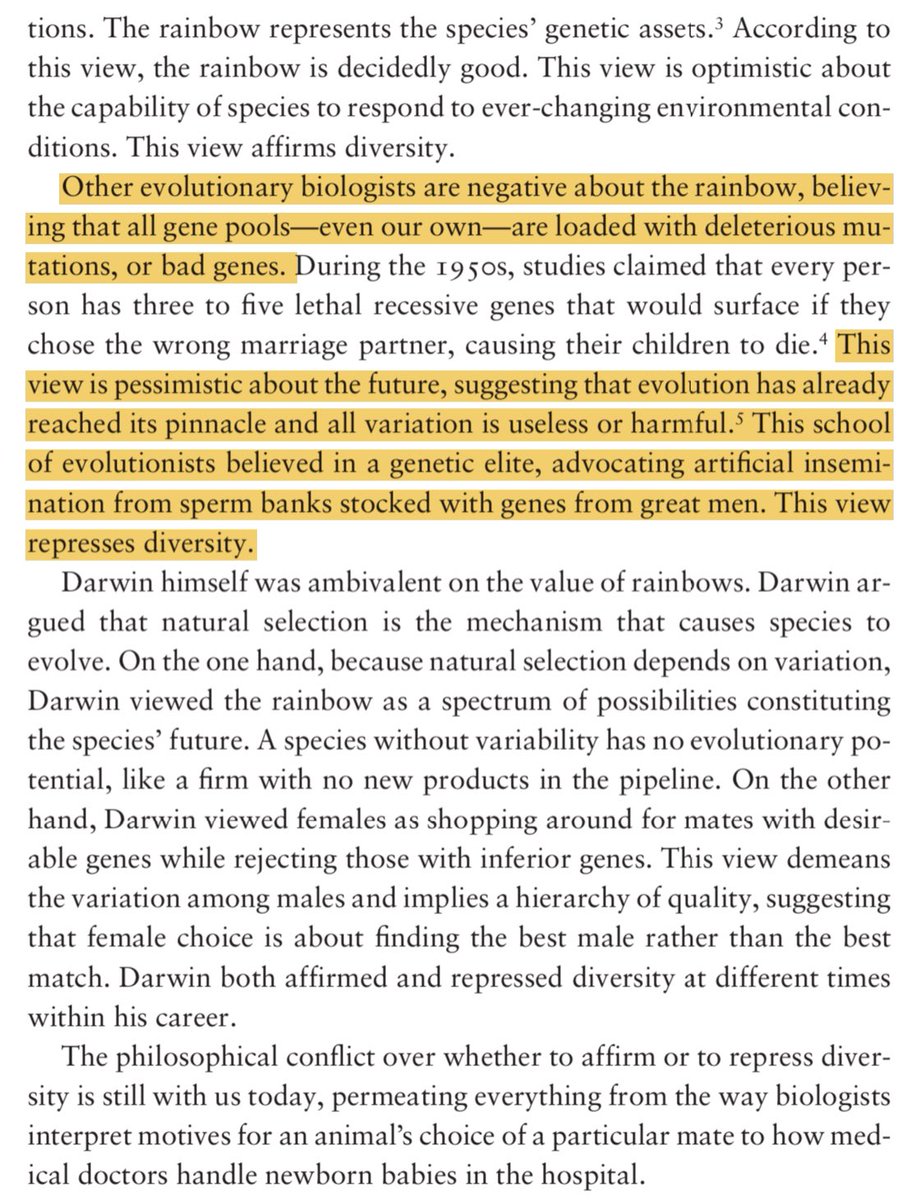 Vince Buffalo tweet media