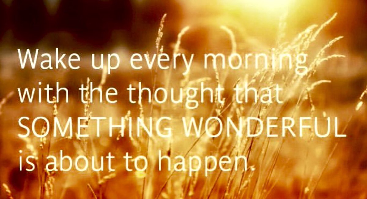 EyeKonik's tweet photo. Monday Friendly Reminder…Wake up every morning with the thought that something wonderful is about to happen. 🙌🧡 #MondayMotivation #MondayMood #PositiveVibesOnly https://t.co/Nv7gtuuOAd