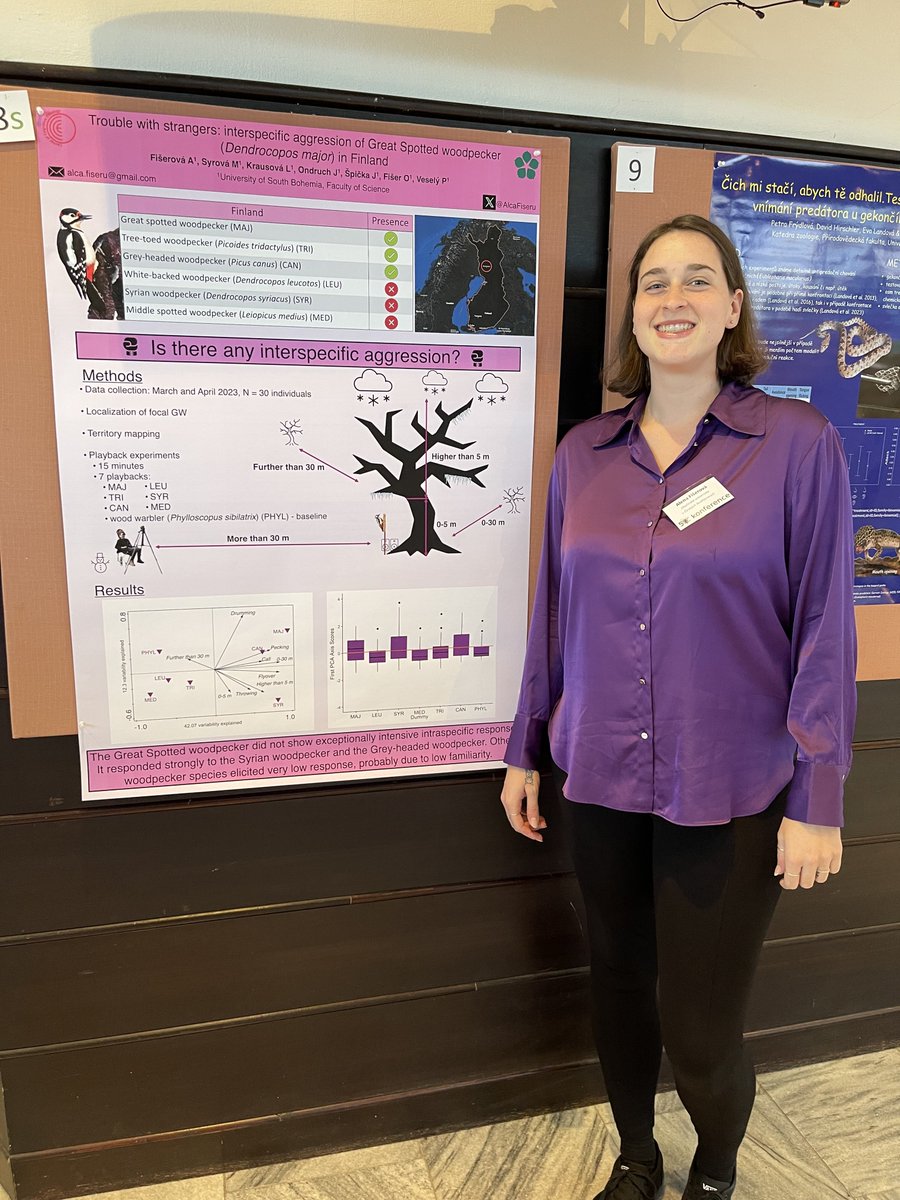 Cke_CZ's tweet photo. 🐦🌳 @AlcaFiseru Trouble with Strangers: Interspecific Aggression of Great Spotted Woodpecker, the best poster
🐹🧠 Dominic Dudek Laterality in naked mole rats, the best poster https://t.co/DT8WYXJy5o