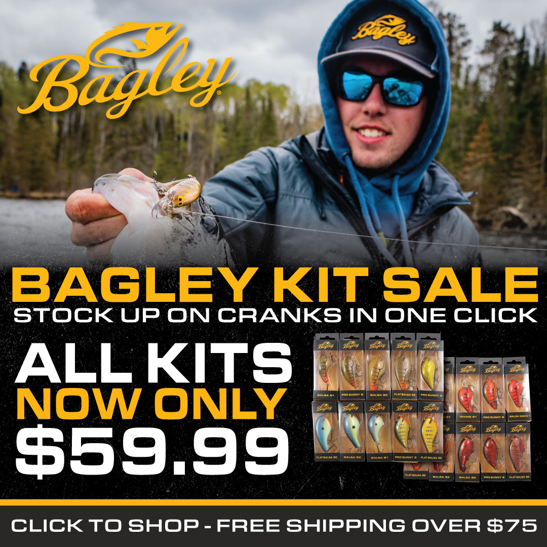 Bagley Baits tweet media