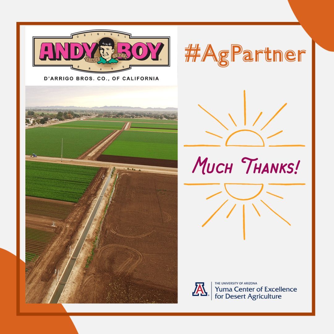 YCEDA_DesertAg's tweet photo. Big shoutout to our #AgPartner🌱🚜, @AndyBoyInc, for their invaluable collaboration in #AgResearch. Together, we're shaping the future of #DesertAgSolutions! 🌿🌍 https://t.co/Fgrvot1TNY