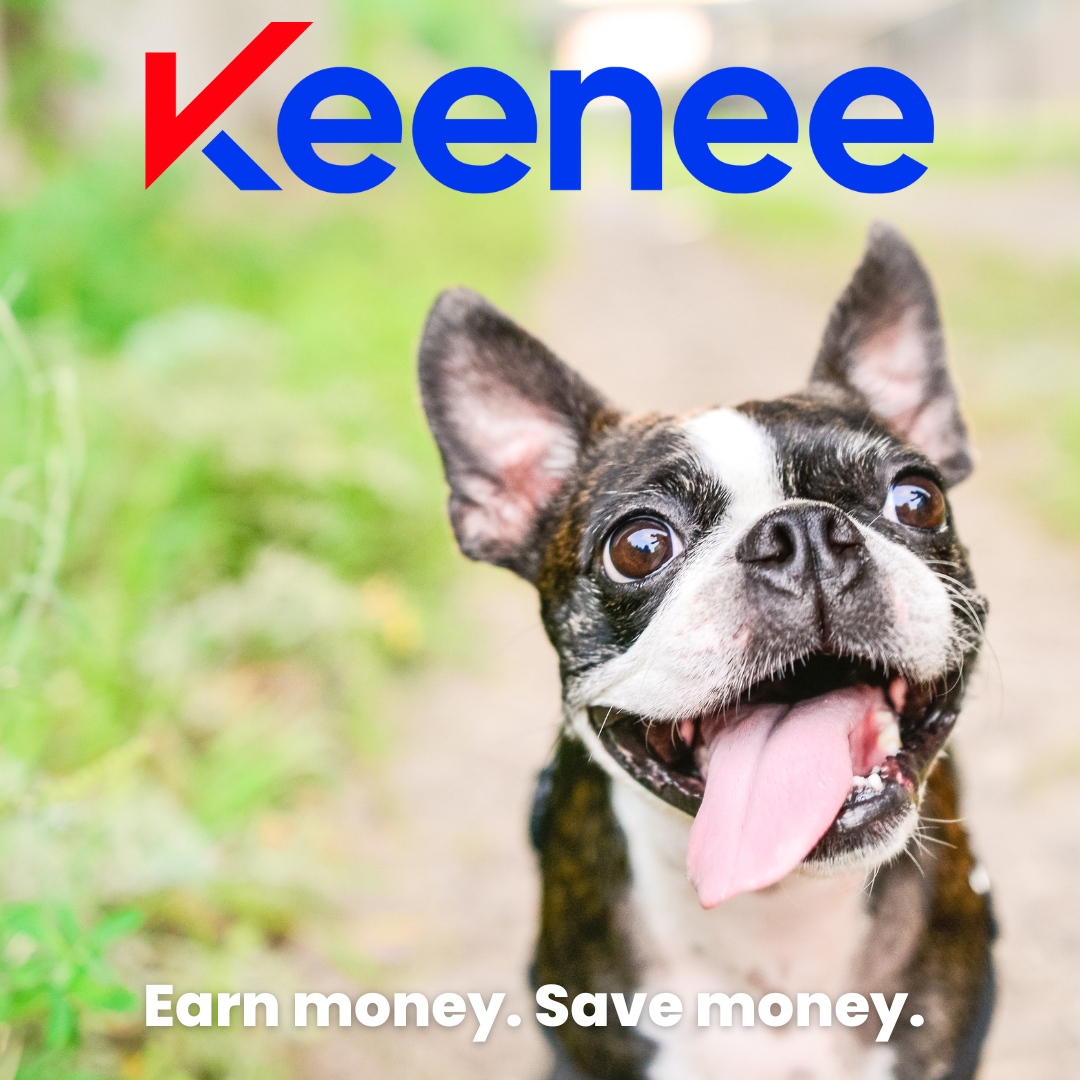 keeneeapp's tweet photo. Fall is here and it's time to fall in love with Boston all over again. Keenee makes it easy to earn money with your extra stuff and book all of the services you need in one place. Let Keenee help you this season! 

#bostonfall #bostonterrier #terriersofboston #keenee #keeneeap... https://t.co/07JewjGY5M
