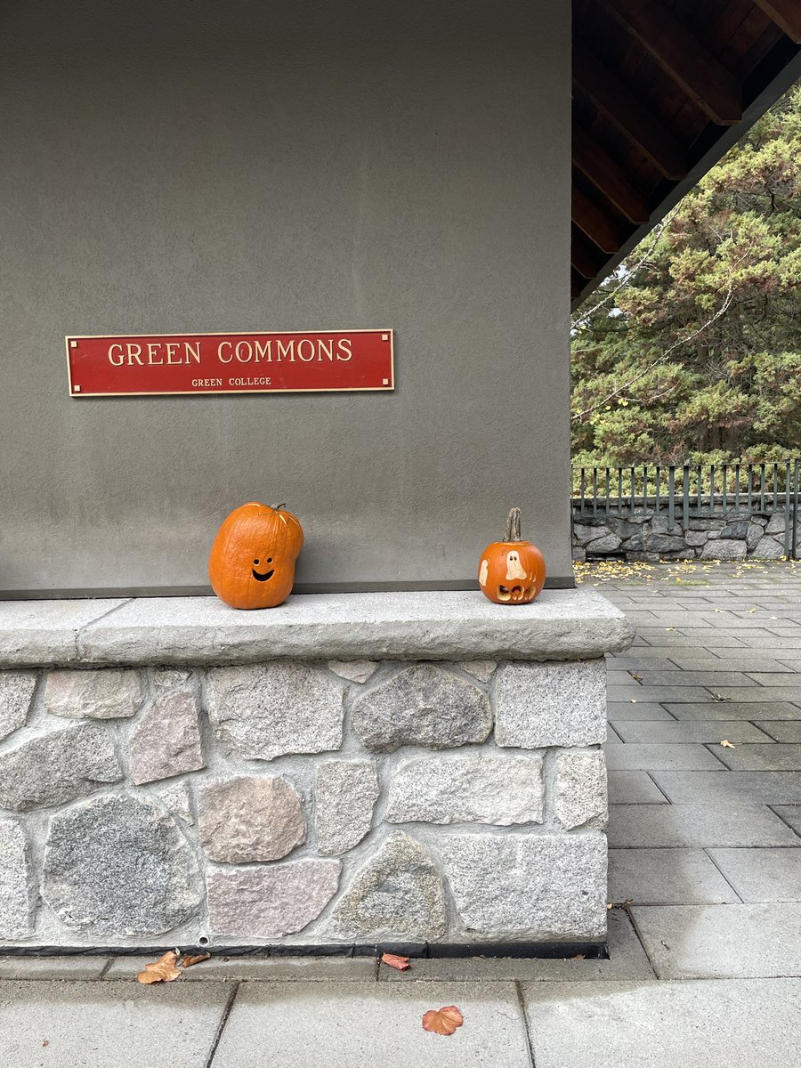 Dark academia—expectations vs reality