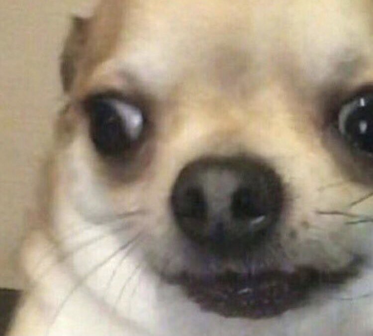 emang boleh se jamet itu?