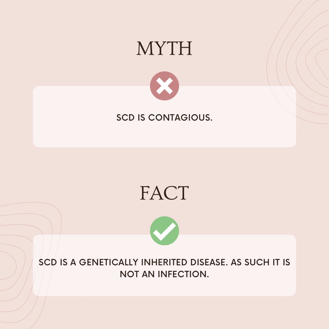 International Fraternity of Medical Students tweet media