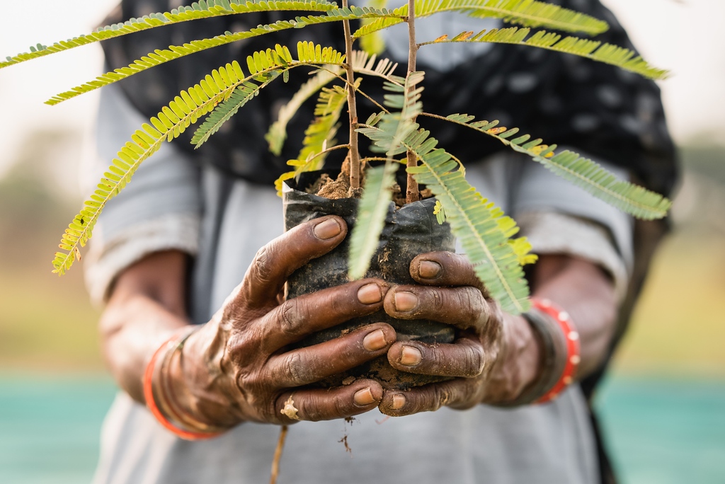 onetreeplanted's tweet photo. Your constant support and leadership fuel reforestation efforts worldwide! 🌍

Invest in a greener future: 
✅ Create social impact 
✅ Protect biodiversity 
✅ Improve climate resilience

Discover philanthropic opportunities with us today 👇🌱
https://t.co/Kge6x0bcNh https://t.co/Kn0zb2ZRQt
