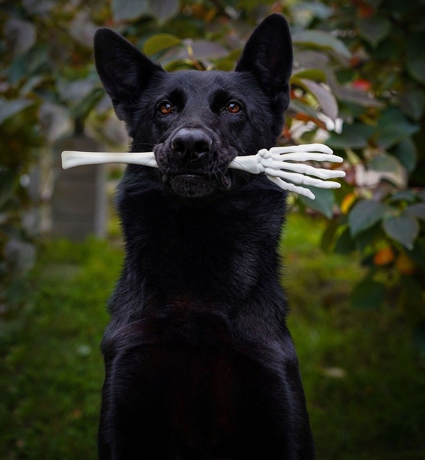 Le Jeu des Micronouvelles tweet media