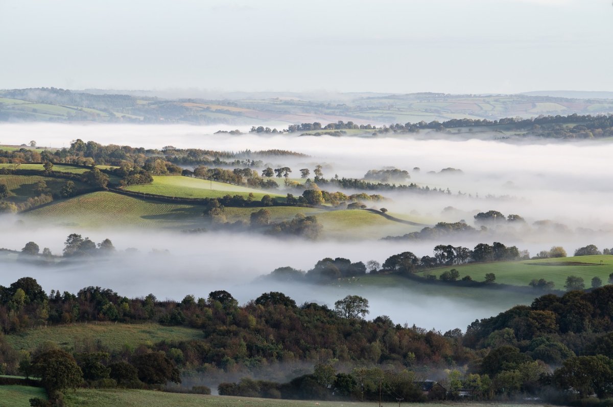 A foggy Devon captured by @jamesmaloneyphotography 

#VanguardPhotoUK #VanguardAmbassador #landscapephotography