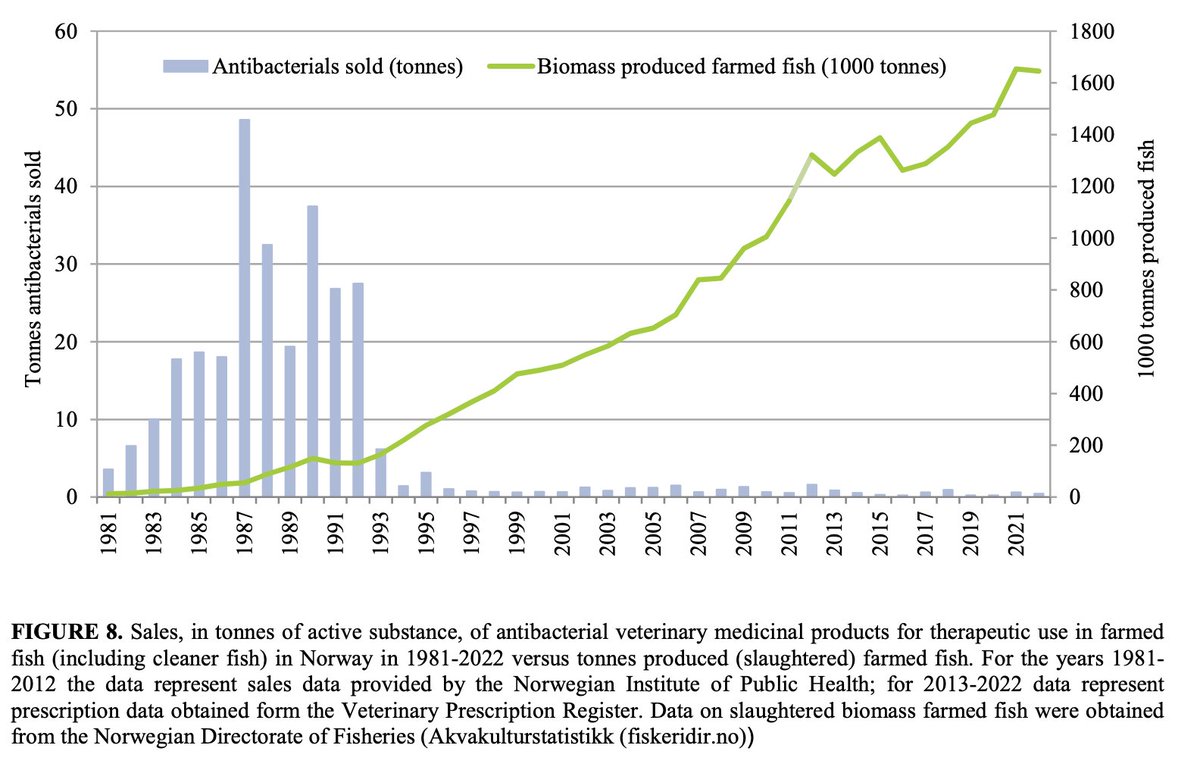 Norway's 30-year journey in salmon: cutting antibiotic usage by 99% while boosting output. 

Yet, bacterial challenges still persist. 

Are phages the answer for aquaculture? 💊

Spotify: bit.ly/40oLCVW

#Aquaculture #PhagePower #antibioticresistance