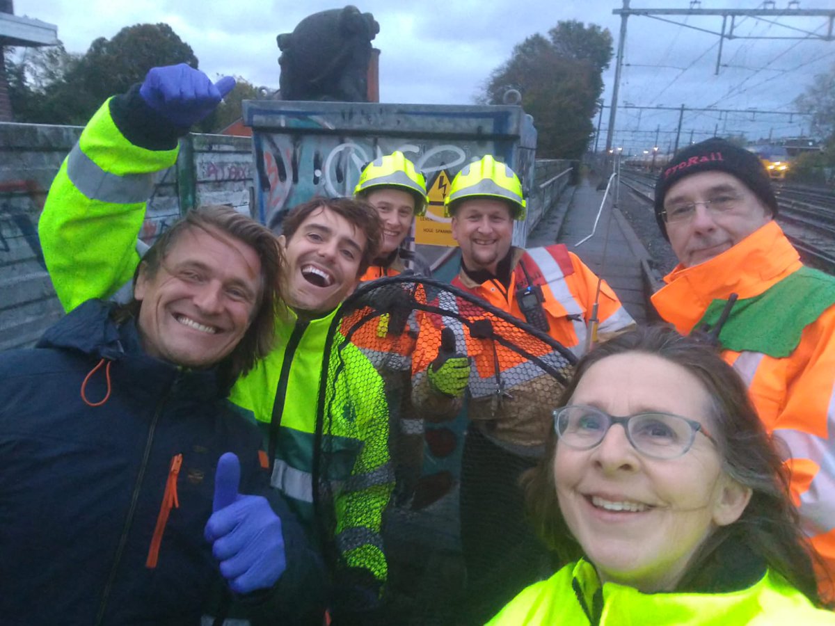 Dierenambulance Amsterdam tweet media