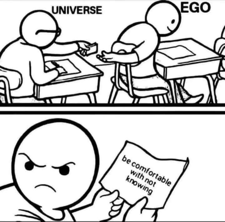 RobinDoctor's tweet image. 