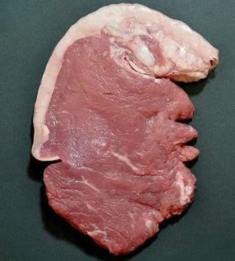 ℂ𝕣𝕪𝕡𝕥𝕠𝔼𝕞𝕡𝕣𝕖𝕤𝕤🤍 tweet media