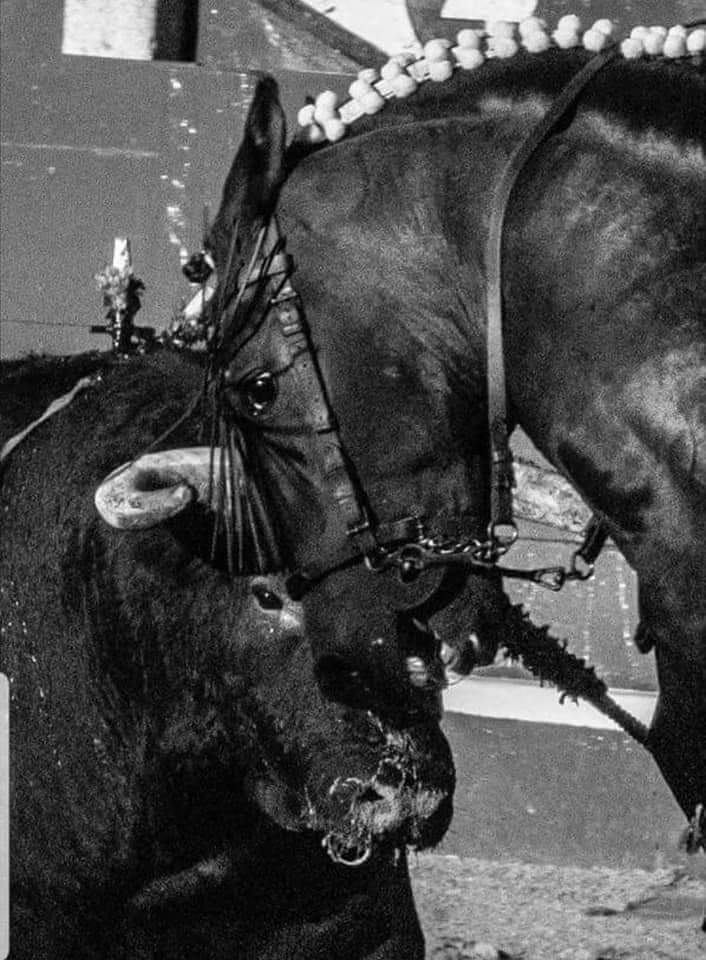 Adea Claude tweet media