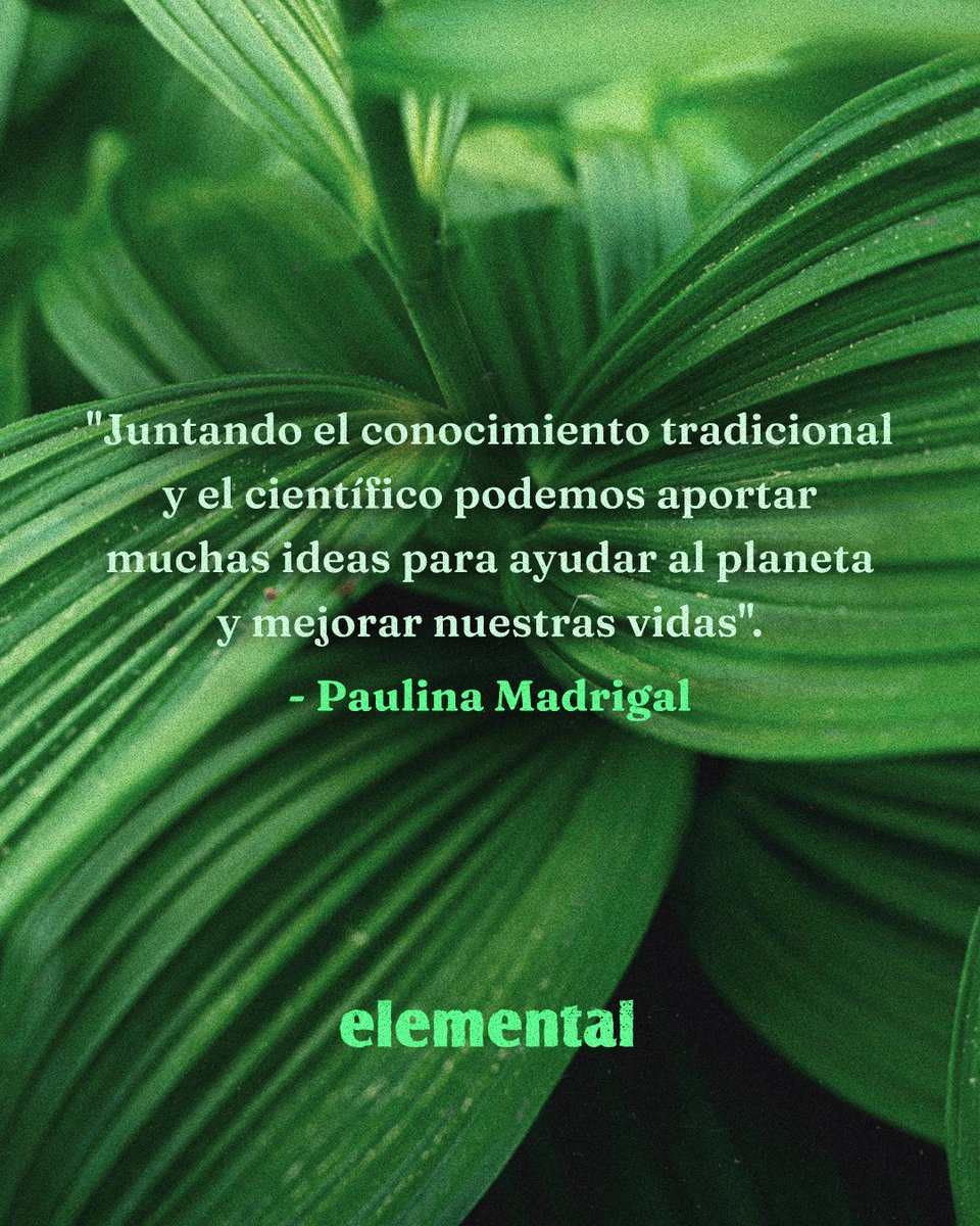 Podcast Elemental tweet media