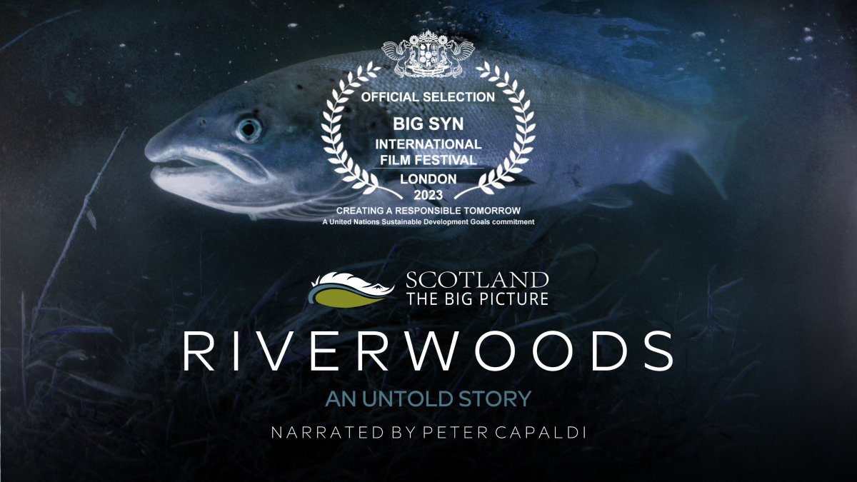 We're delighted that #Riverwoods is an Official Selection in the Documentary Features category at the 2023 @LondonBigSynFF - the world's biggest sustainability film festival. #BigSynFilmFest23 More about Riverwoods: scotlandbigpicture.com/riverwoods