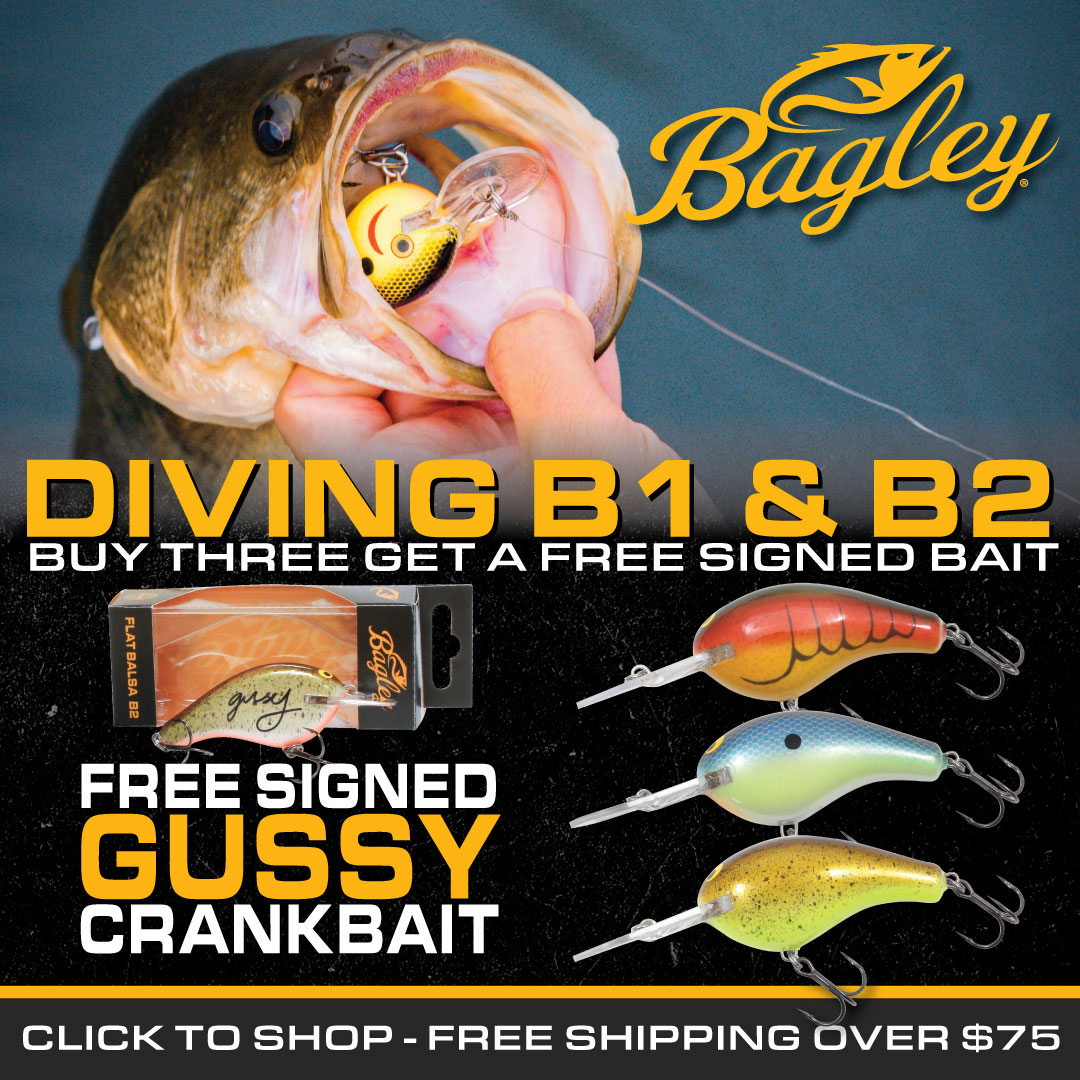 Bagley Baits (@bagleybaits) / X