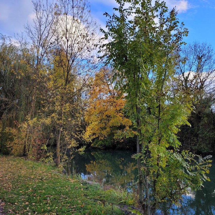 CatMo0105's tweet image. C&apos;est l&apos;été indien à Dijon
#CanalDeLOuche
#Chartreuse