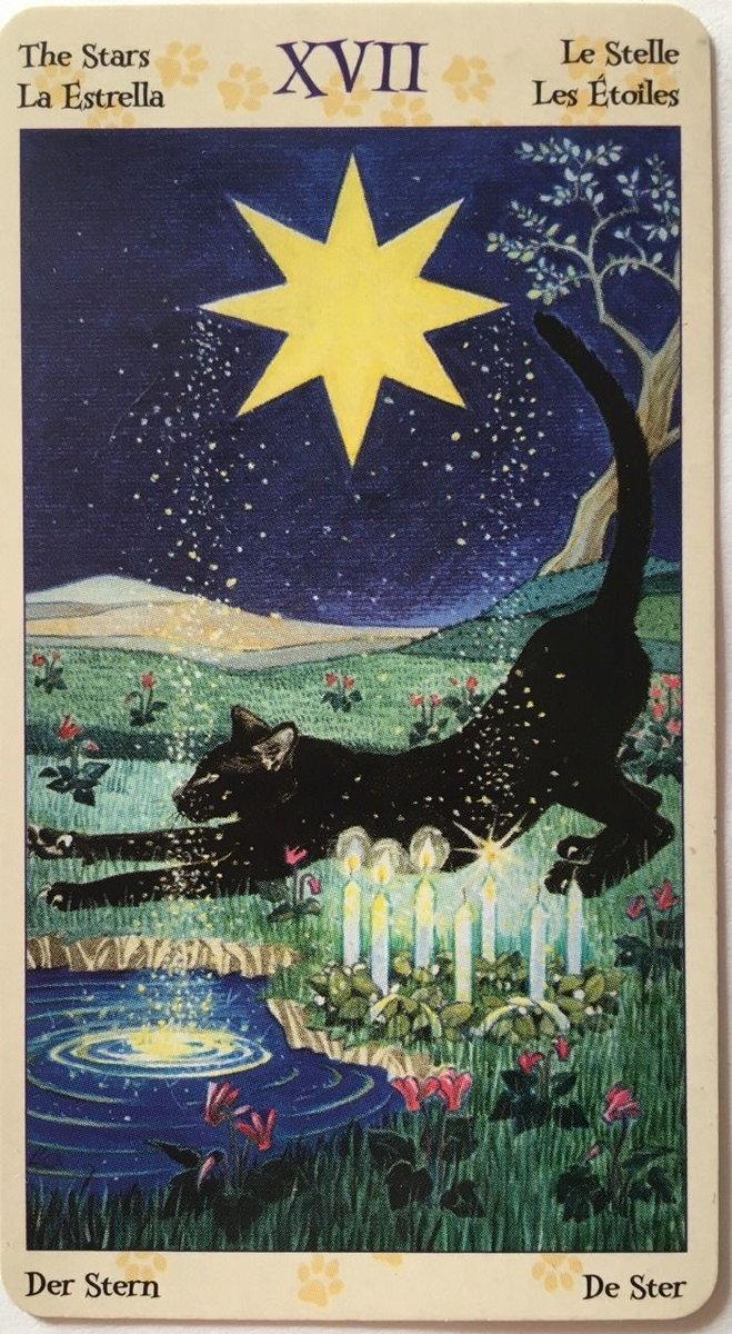 Para revivir la cuenta voy a utilizar la misma dinámica de cuando la inice!!🪄
Lxs invito a relizar 2 preguntas para el tarot, tanto por via md o instagram (tienen el enlace en mi perfil) por las proximas 24hs! las respondere totalmente gratis⭐