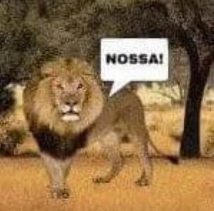 Yur_Ibeiro's tweet photo. https://t.co/5caHjx4yDZ