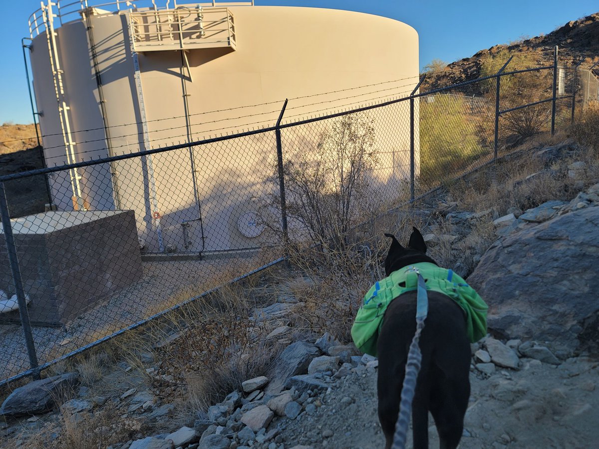 ShadowThePibble's tweet image. Dad forgot water. I still only wants to hike til I 💩.