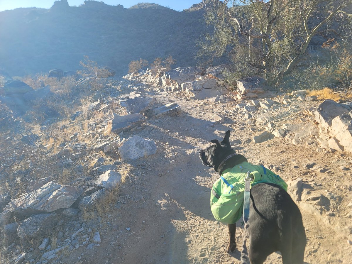 ShadowThePibble's tweet image. Dad forgot water. I still only wants to hike til I 💩.