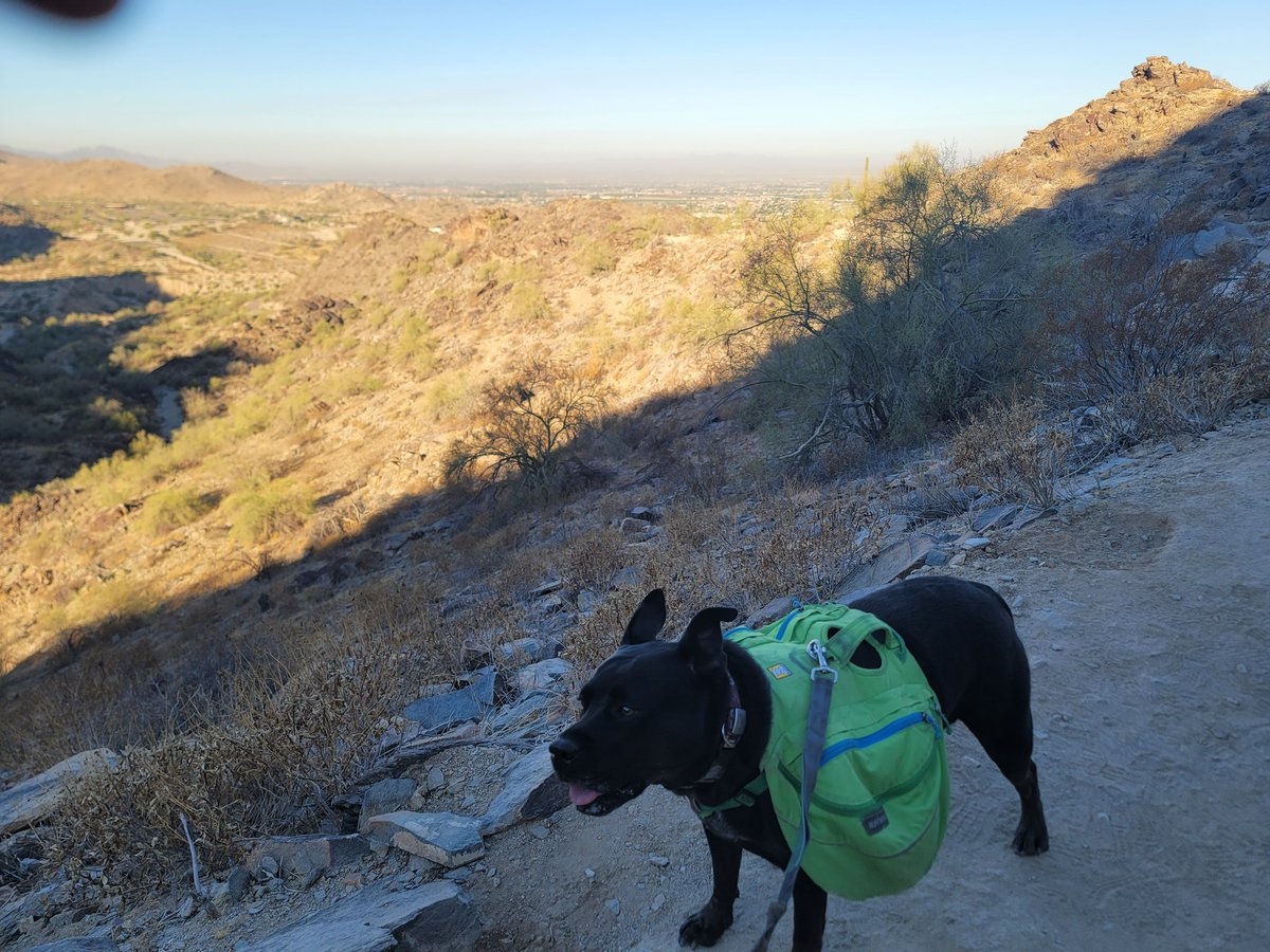 ShadowThePibble's tweet image. Dad forgot water. I still only wants to hike til I 💩.