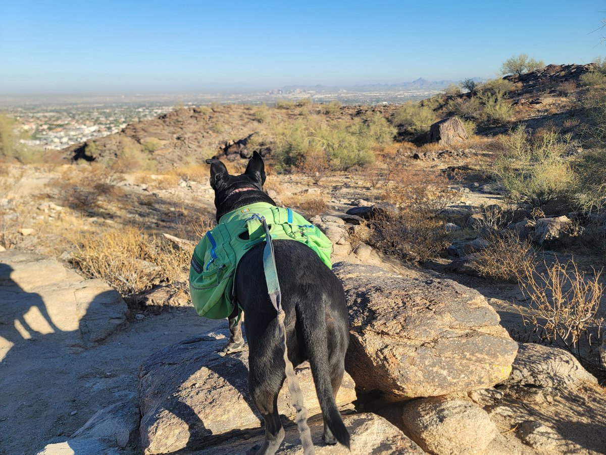 ShadowThePibble's tweet image. Dad forgot water. I still only wants to hike til I 💩.