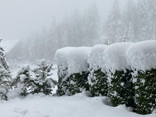KritischePatri's tweet photo. Zware sneeuwval in de Alpen alweer. 
Waar zijn de klimaatactivisten nu?
#klimaathysterie https://t.co/YCkCYFy2dA