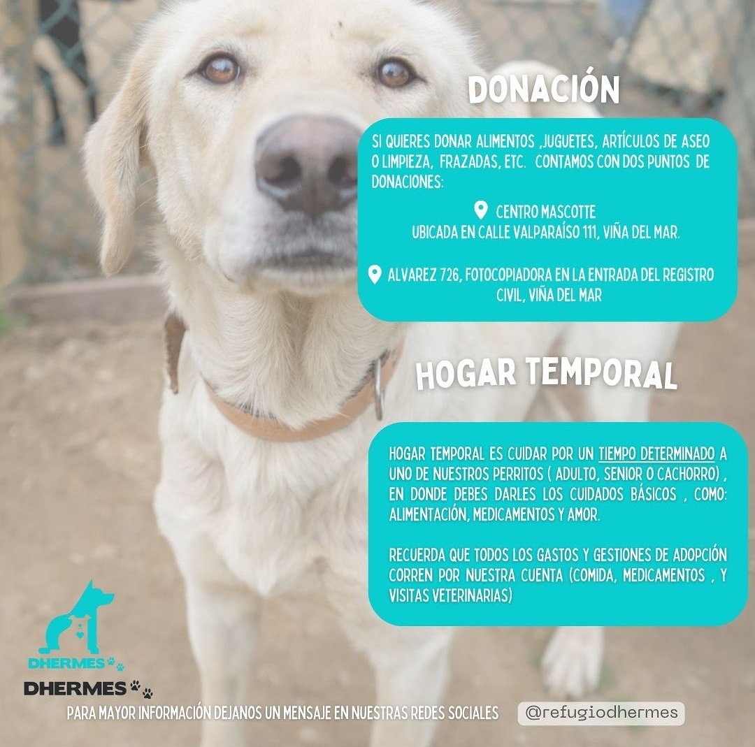 Refugio Dhermes tweet media