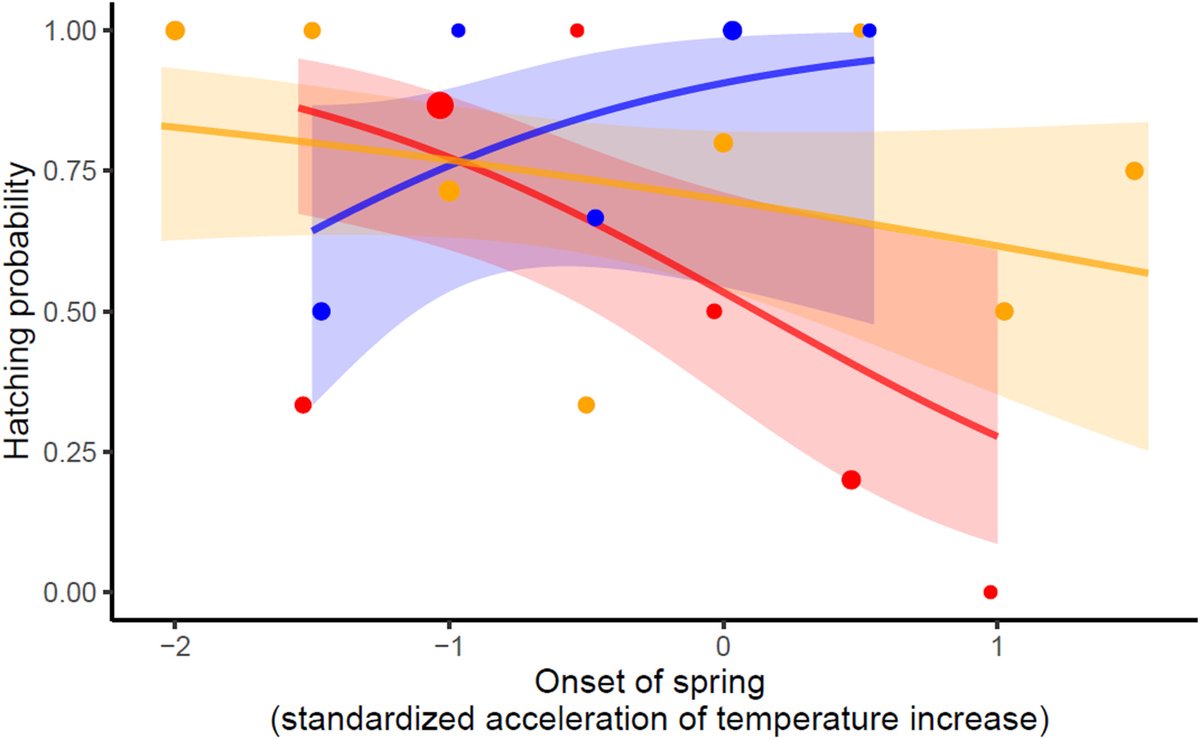 Bird Ecology & Migration Lab (@aviecomig) on Twitter photo Boom et al. (2023) Earlier springs increase goose breeding propensity and nesting success at Arctic but not at temperate latitudes <a href="/AnimalEcology/">Journal of Animal Ecology</a> doi.org/10.1111/1365-2… | <a href="/M_P_Boom/">Michiel Boom</a> <a href="/NHBuitendijk/">Nelleke Buitendijk</a> <a href="/BartNolet/">Bart Nolet</a> @HenkvanderJeugd <a href="/niooknaw/">NL Inst of Ecology</a> <a href="/NIOZnieuws/">@NIOZnieuws</a> | #ornithology #birdmigration Boom et al. (2023) Earlier springs increase goose breeding propensity and nesting success at Arctic but not at temperate latitudes <a href="/AnimalEcology/">Journal of Animal Ecology</a> doi.org/10.1111/1365-2… | <a href="/M_P_Boom/">Michiel Boom</a> <a href="/NHBuitendijk/">Nelleke Buitendijk</a> <a href="/BartNolet/">Bart Nolet</a> @HenkvanderJeugd <a href="/niooknaw/">NL Inst of Ecology</a> <a href="/NIOZnieuws/">@NIOZnieuws</a> | #ornithology #birdmigration