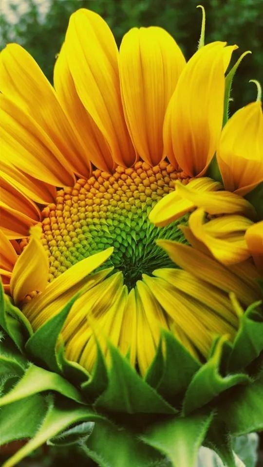 #Bíblia🌈📕🌻 #TestemunhoDeJesus #evangelho <a href="/Rozane_Costa/">Rozane Santana</a>
"Nações, tribos, povos ,línguas e reis" profetizes que a misericórdia de #Deus triunfe sobre toda terra. Descansem no Senhor ( mt 11,28-30 ) "Jesus já nos deu o seu espírito 1Jo4,13; Gl4,6 descansem