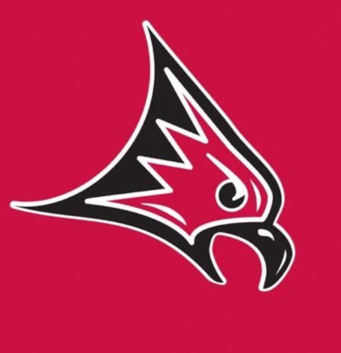I’m honored and proud to announce my commitment to further my education and continue playing hockey at University of Wisconsin-River Falls. I would like to thank my family, friends and coaches who have helped and supported me along the way!! #gofalcons