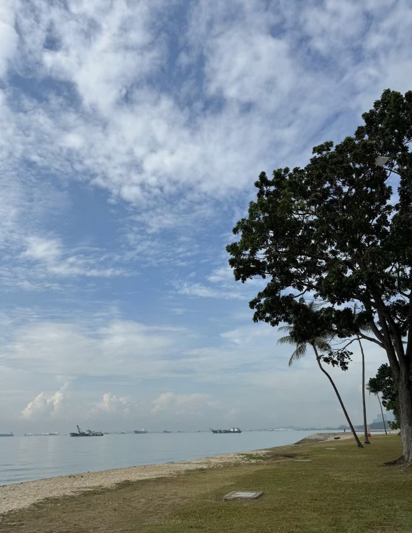 arrapot18's tweet image. Not only that, morning running can also make you have better physical fitness. Long-term adherence to morning running can improve your lung function, enhance heart health, increase muscle strength, and adjust your body shape, making you healthier and more beautiful #morning run