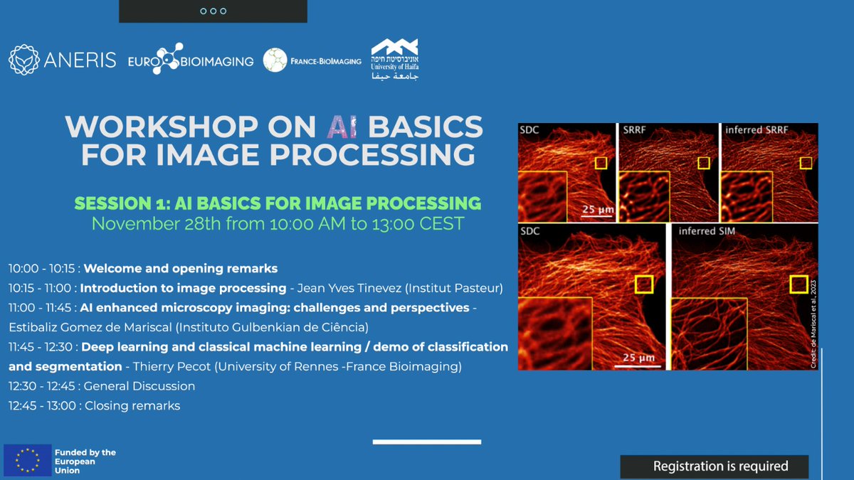 Dr. Ayoub El Ghadraoui tweet media