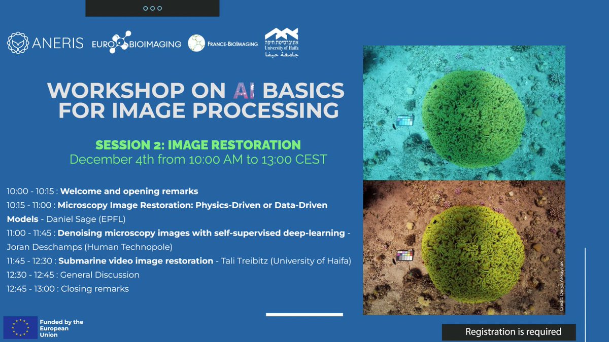 Dr. Ayoub El Ghadraoui tweet media