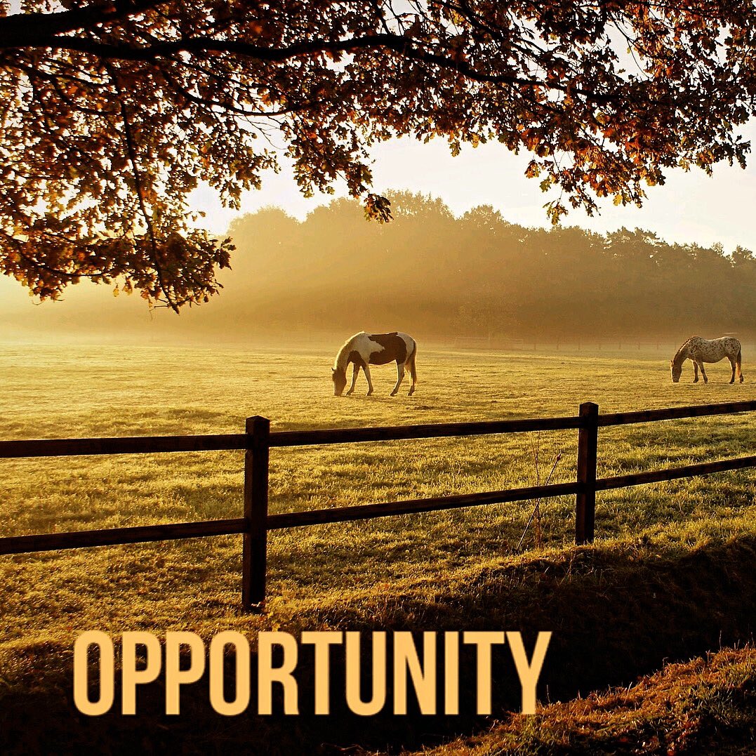 CollegeRiding's tweet photo. New blog entry up for your #MondayMotivation 💪

Not being at the fall equitation finals doesn’t mean you have no opportunities - it means you have DIFFERENT opportunities. https://t.co/7XComkJDwn https://t.co/HIo8BSRlZm