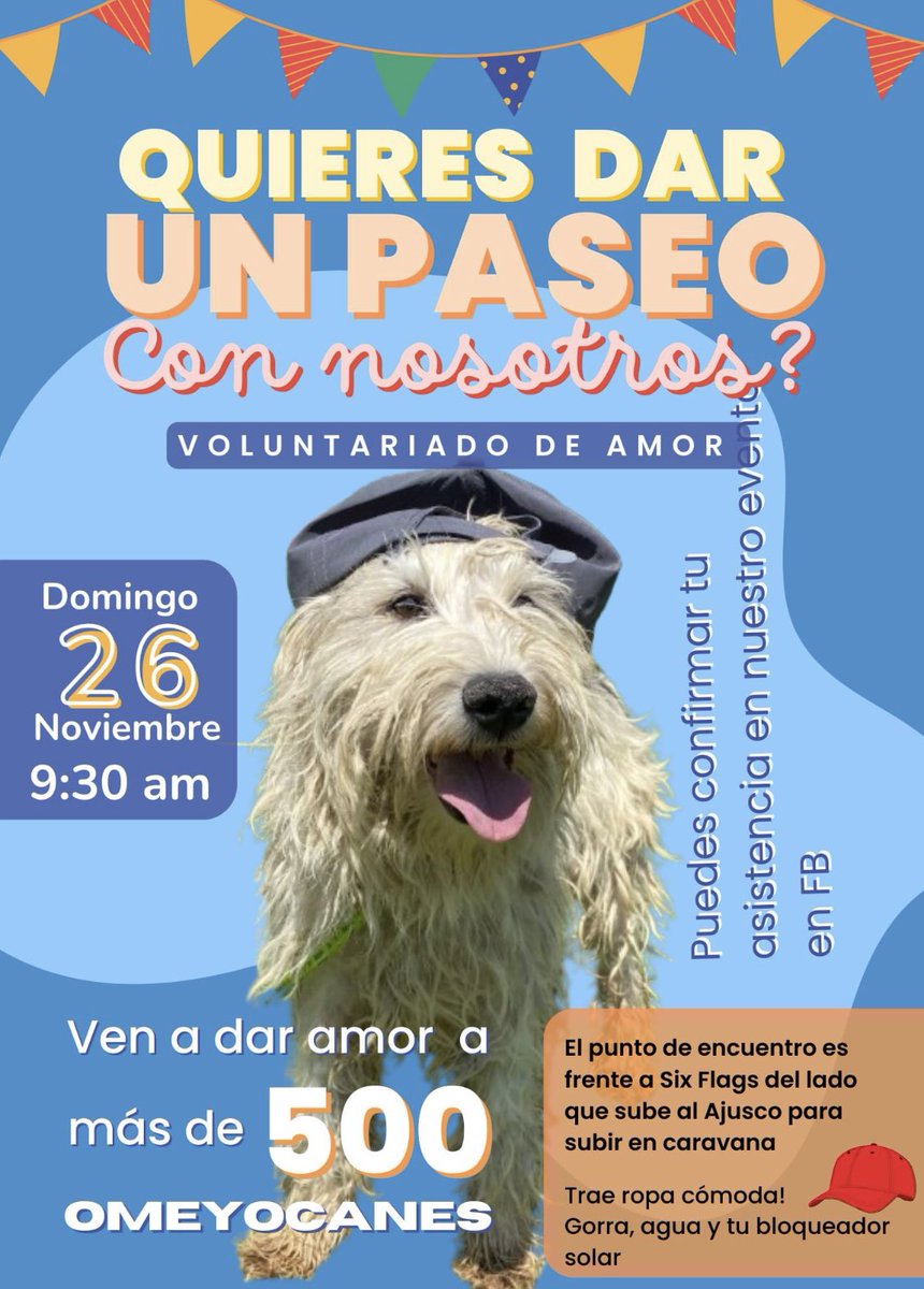anaspindolaa's tweet photo. 🎷🔥🥰🎷🎷🎷
Ahí nos vemos #adoptanocompres 
#anaspindola https://t.co/ubNsq7JAle
