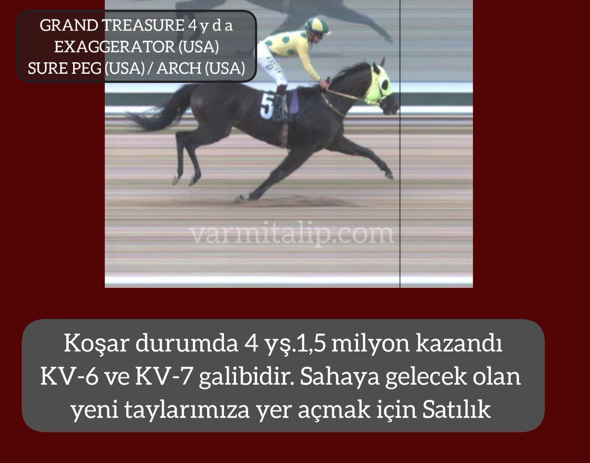 MetinMfg's tweet image. #Koşar durumda 4 yş. İkisi KV olmak üzere 1 buçuk milyon kazandı #varmitalip #SatilikTaylar,#SatilikGebeKisraklar,#horse #breeding #farm #farmlife #mareandfoal #ArabianHorses
#Thoroughbreds 
#yearling #stallion #stud
 ☎️05362458068