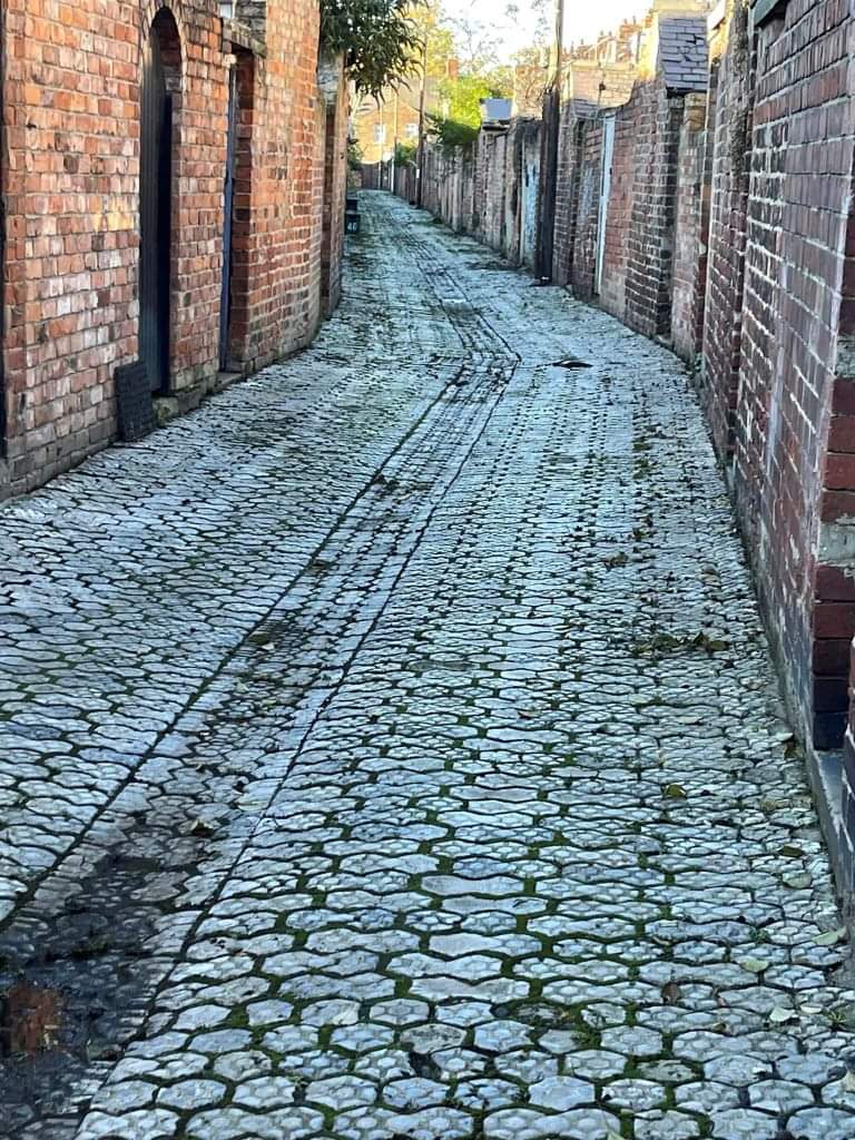 ClementsHallHistoryG tweet media