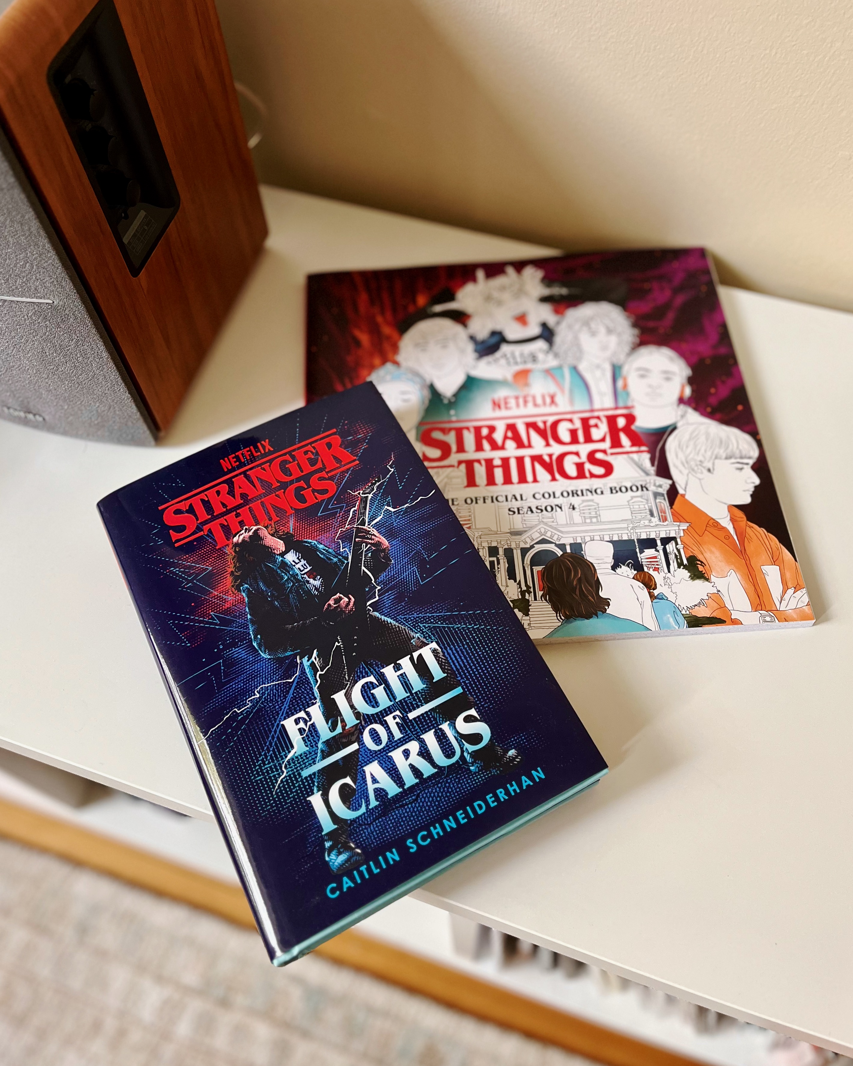 Stranger Things Books in Order (4 Book Series)