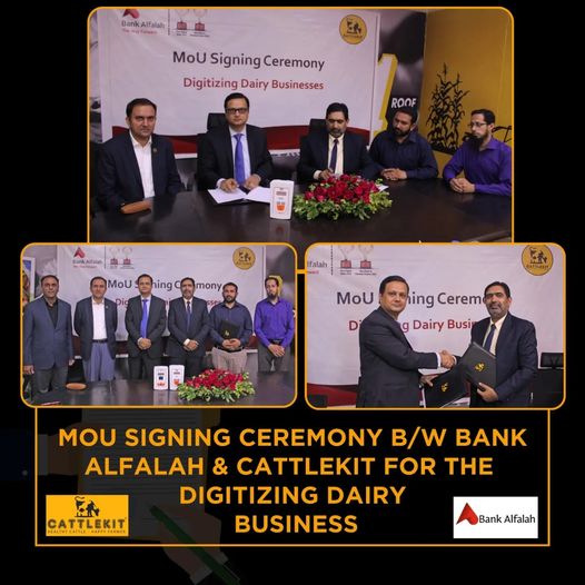 CattlekitP's tweet image. CATTLEKIT launching "Go digital program" for digitizing Dairy Business .
MOU signing ceremony b/w CATTLEKIT &amp;amp; Bank Alfalah.
They shake hands for stepping up the Farmers  to next level..

CATTLEKIT
Healthy Cattle, Happy Farmer
#Anythingforfarmer
#step #up #digital @DCFAPakistan