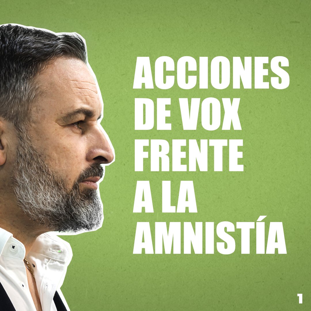 vox_es's tweet photo. ¡PAREMOS EL GOLPE DE SÁNCHEZ!

Estas son las acciones de VOX frente a la amnistía 

⬇ HILO ⬇